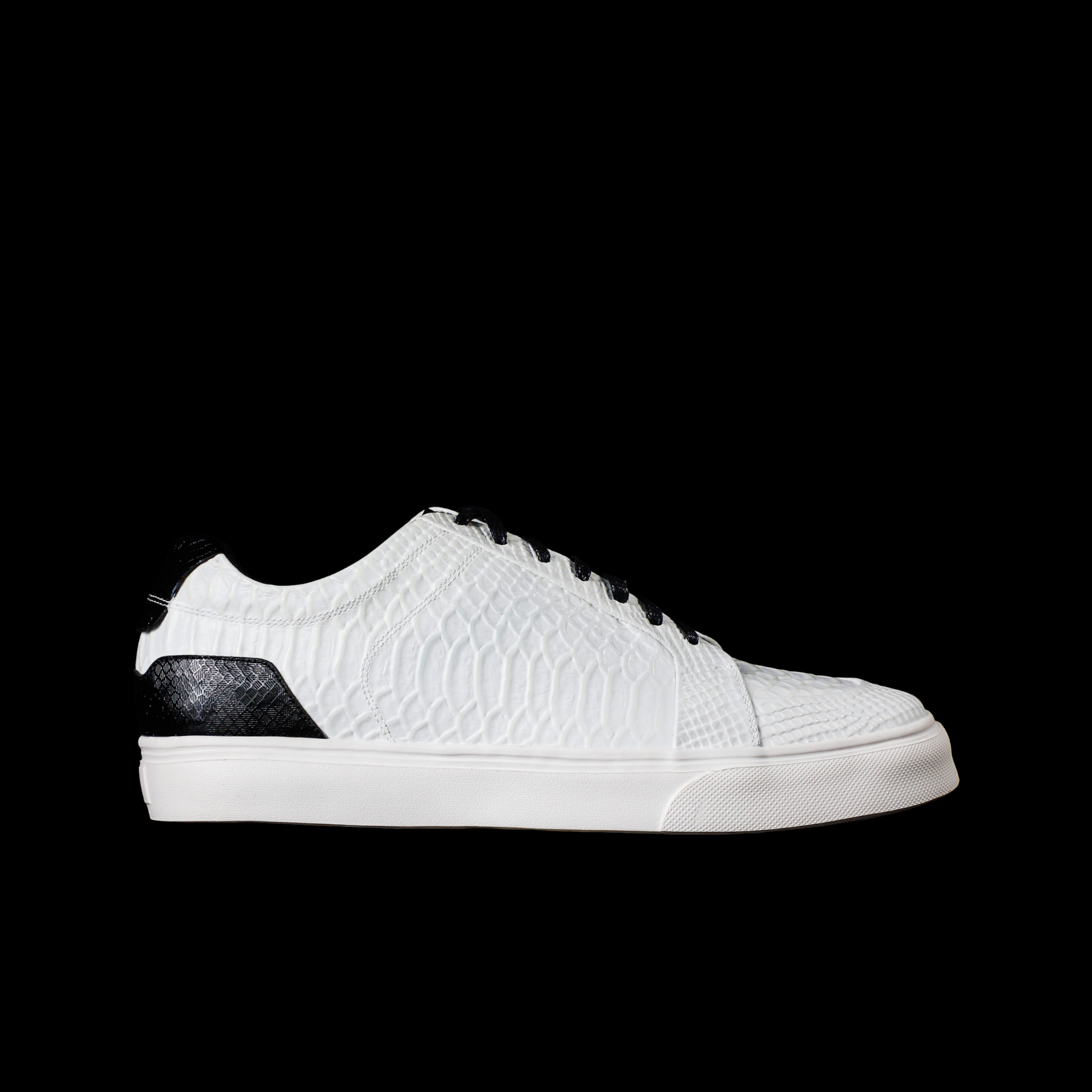 SAN FRANCISCO CROCODILE BLANCO