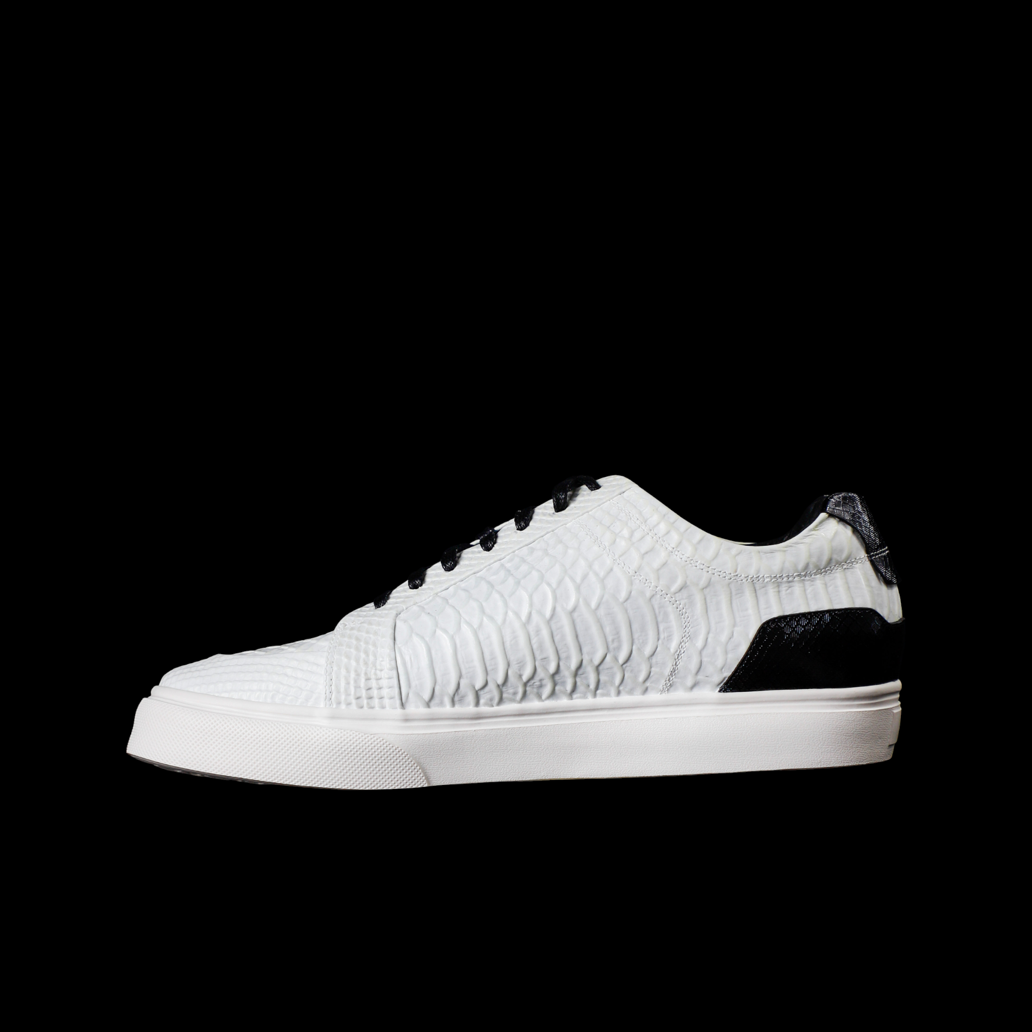 SAN FRANCISCO CROCODILE BLANCO