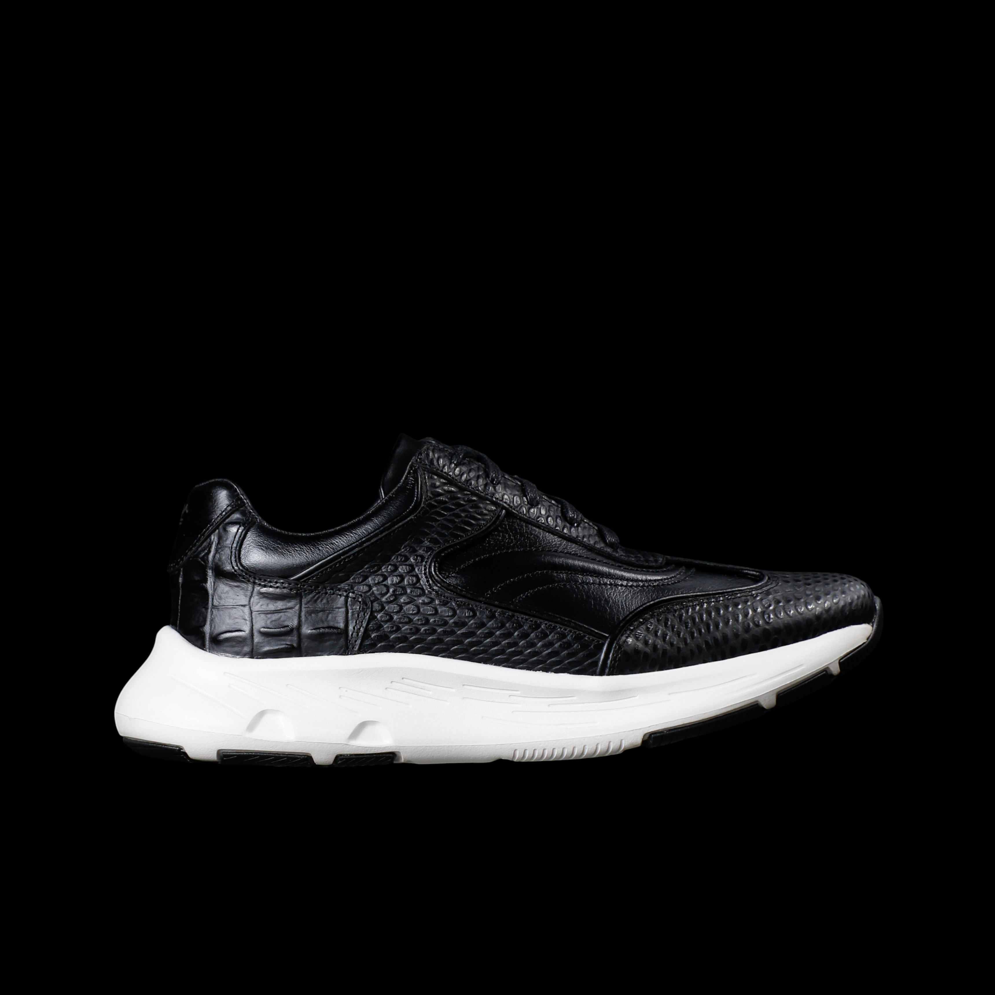 HAMBURGO NEGRO X BLANCO