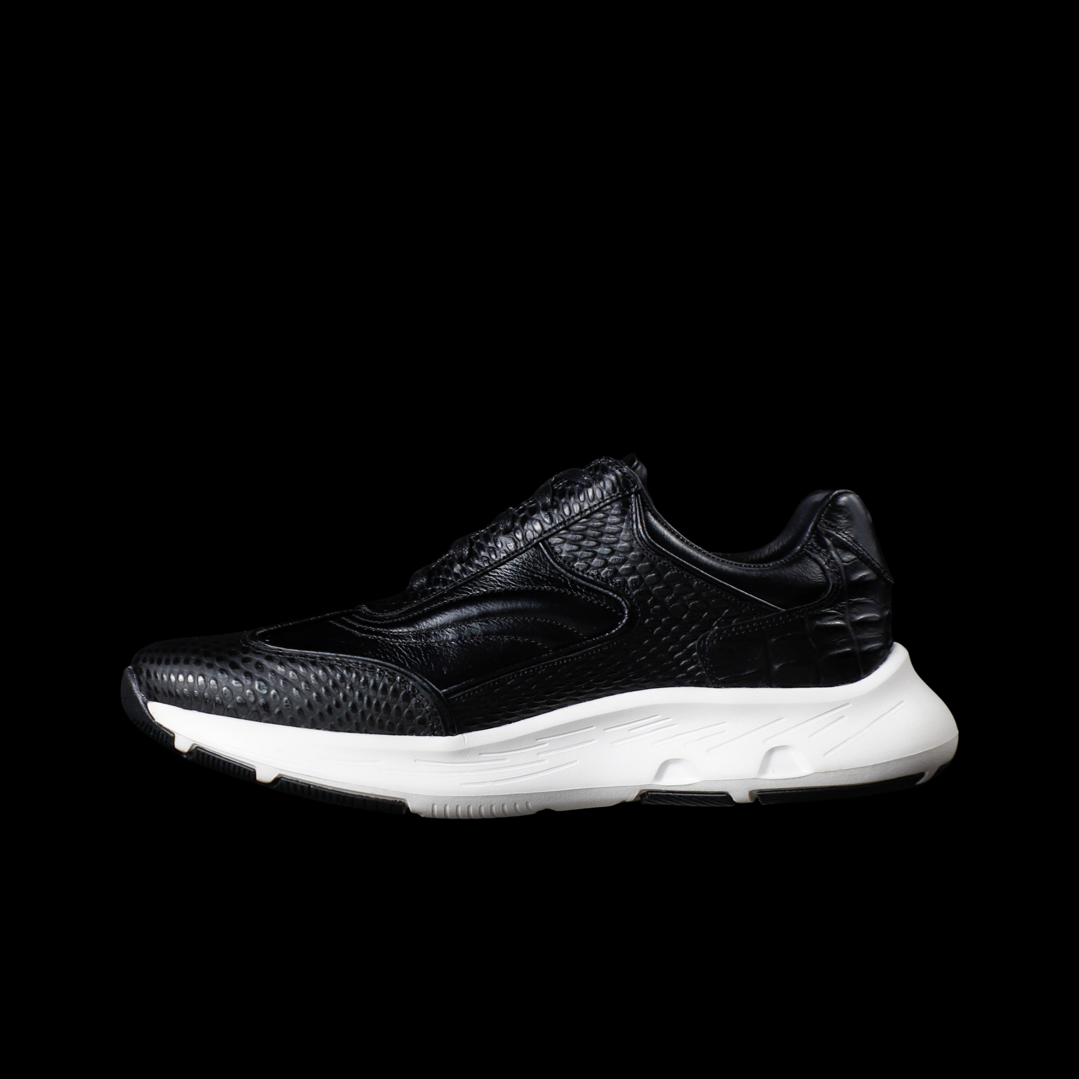 HAMBURGO NEGRO X BLANCO