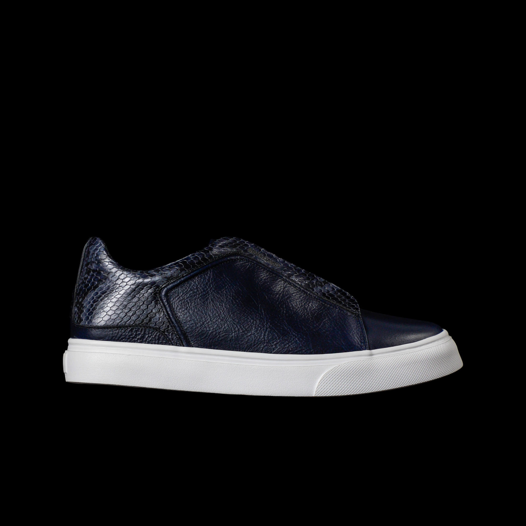 NORUEGA AZUL X PITÃ“N
