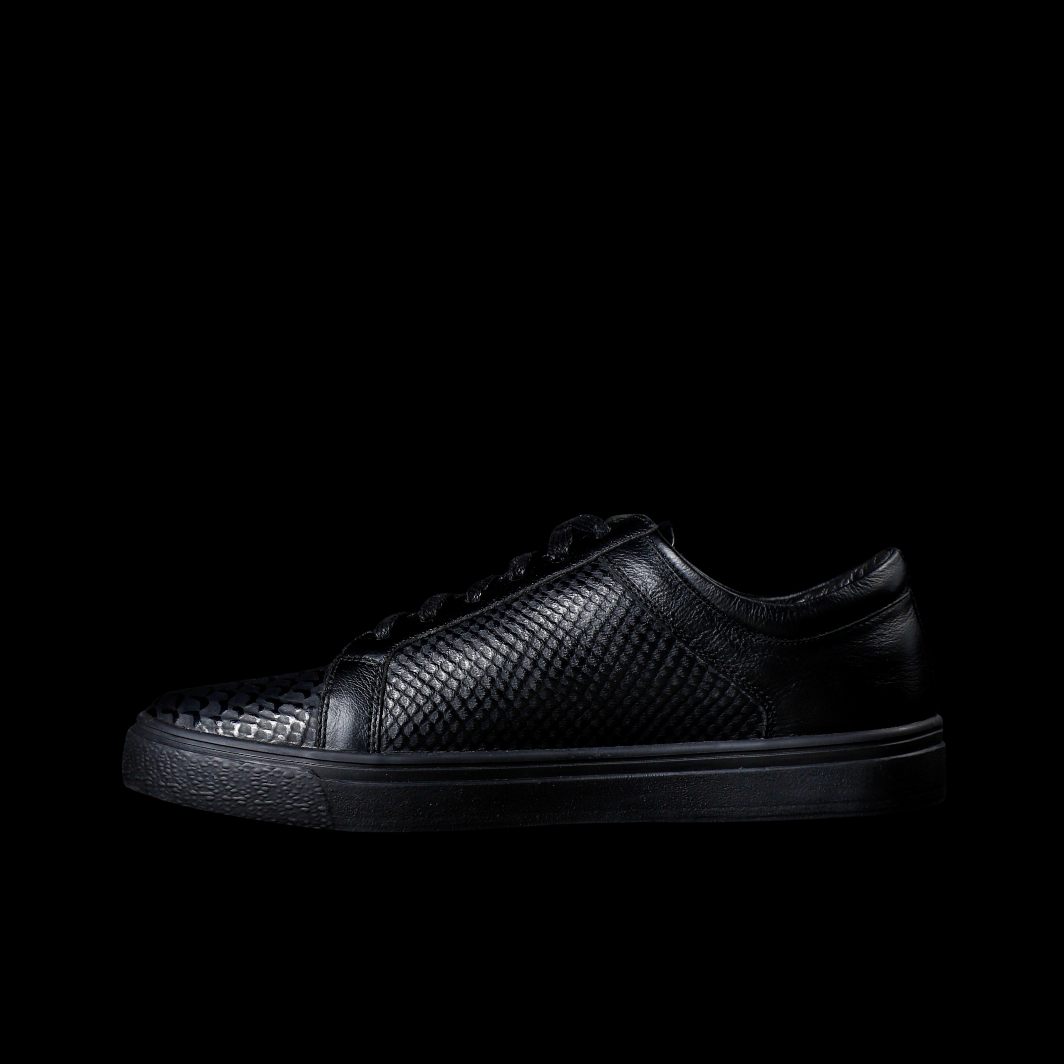 CALIFORNIA CROCODILE NEGRO