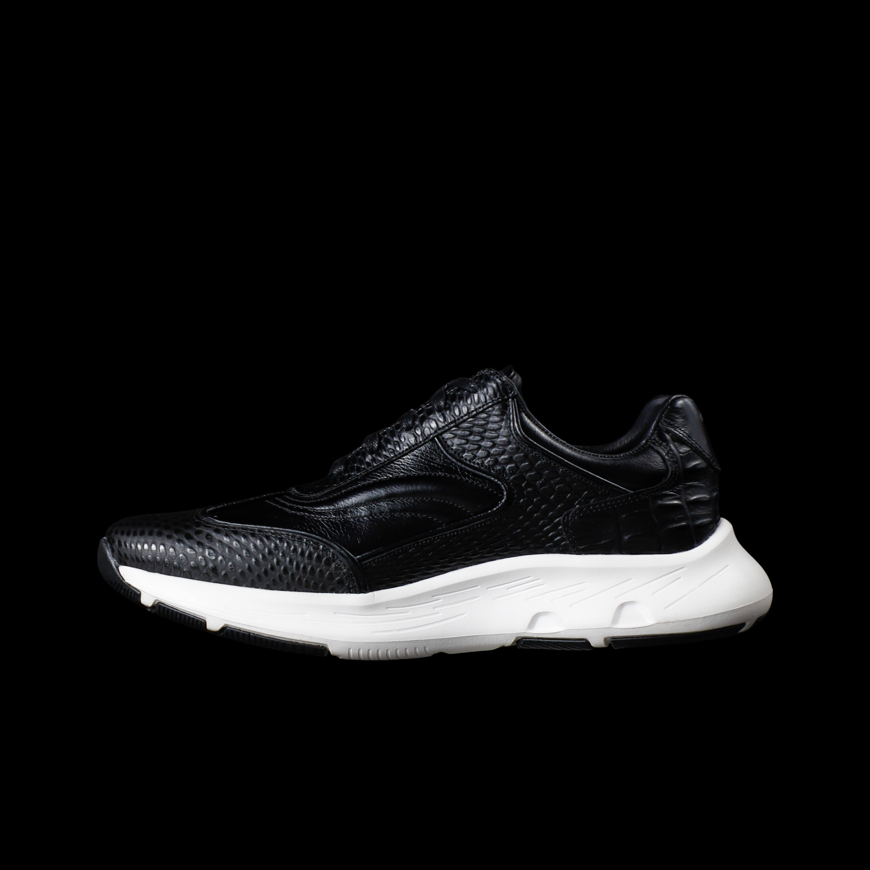 HAMBURGO NEGRO X BLANCO