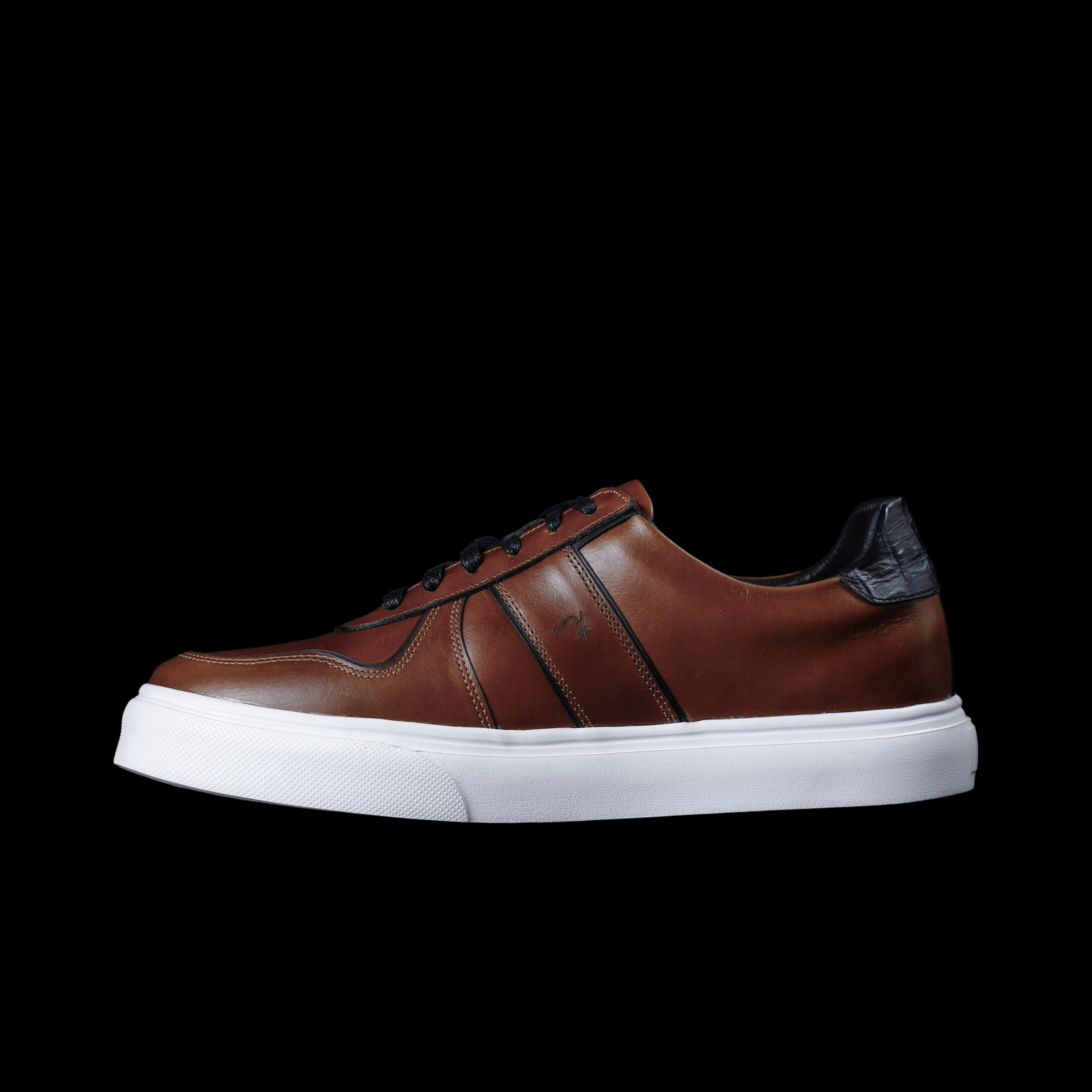 CAMBRIDGE MIEL X NEGRO