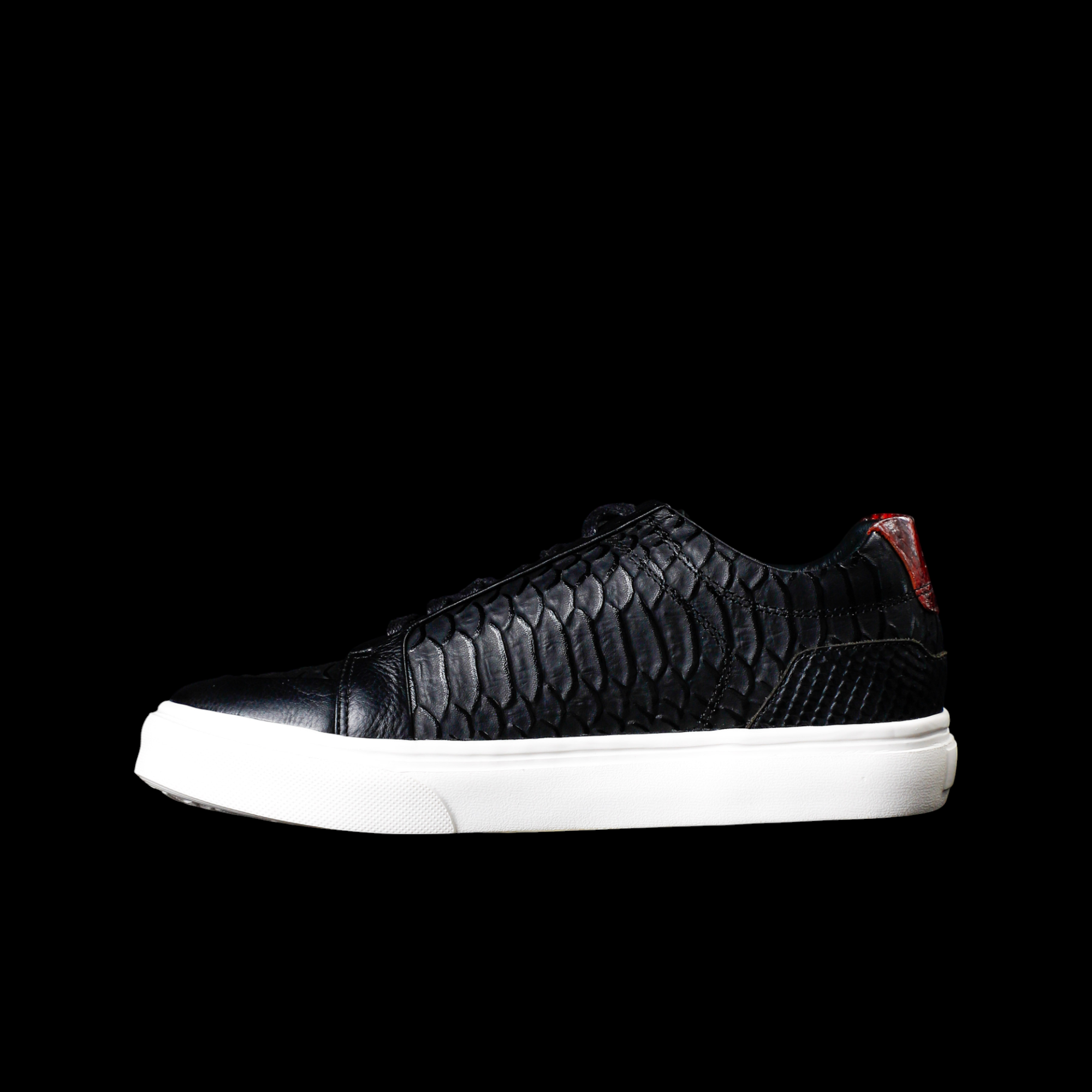 SALE - SAN FRANCISCO CROCODILE NEGRO