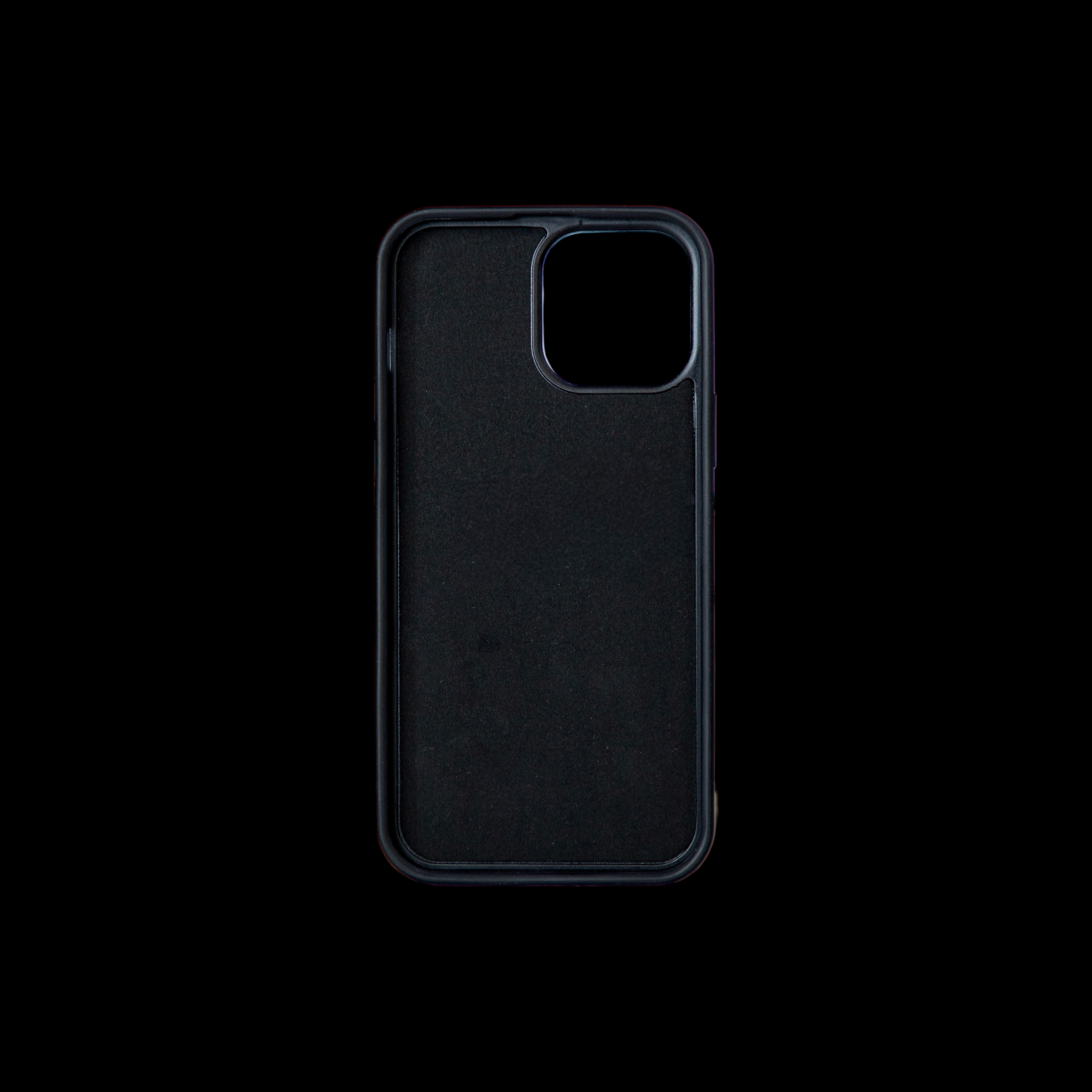 CASE 13 PRO MAX